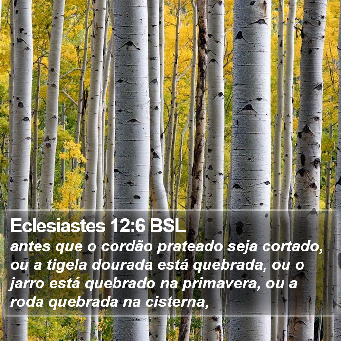 Eclesiastes 12:6 BSL Bible Study