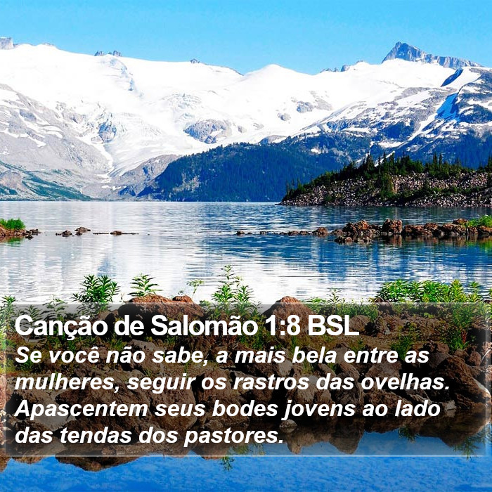 Canção de Salomão 1:8 BSL Bible Study