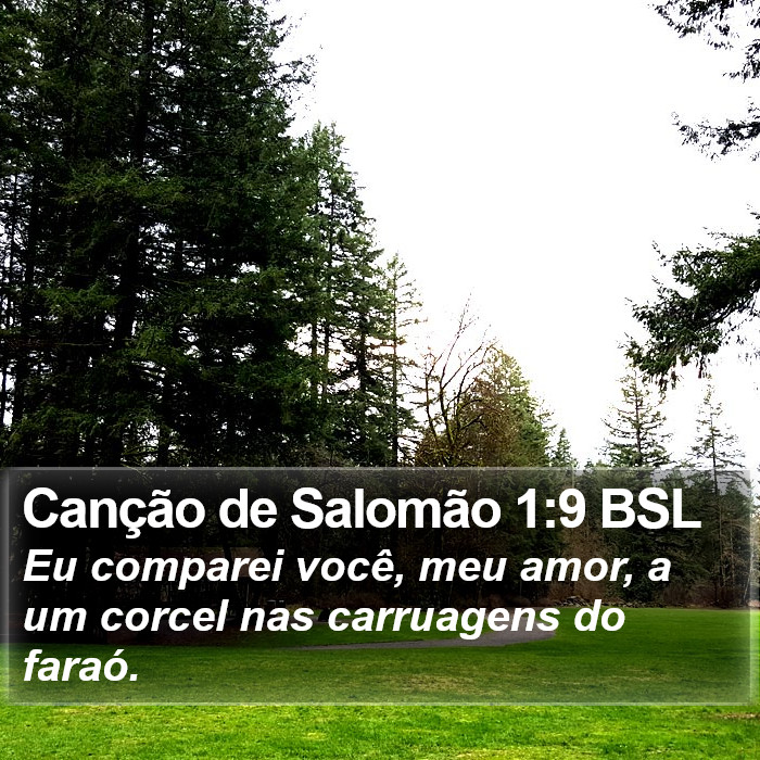 Canção de Salomão 1:9 BSL Bible Study