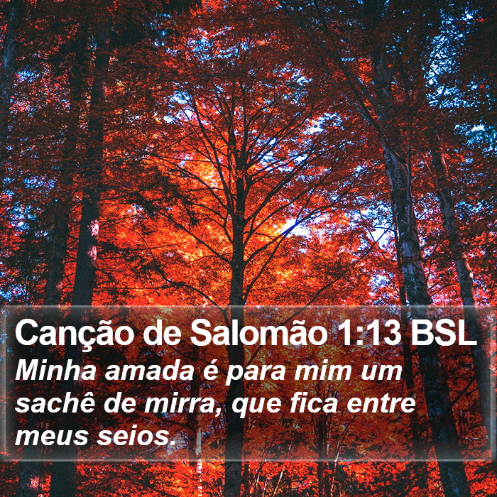 Canção de Salomão 1:13 BSL Bible Study