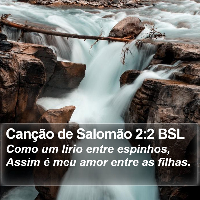 Canção de Salomão 2:2 BSL Bible Study
