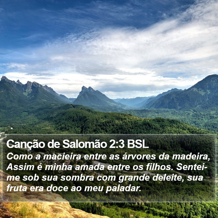 Canção de Salomão 2:3 BSL Bible Study