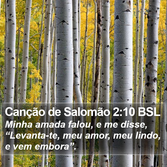 Canção de Salomão 2:10 BSL Bible Study