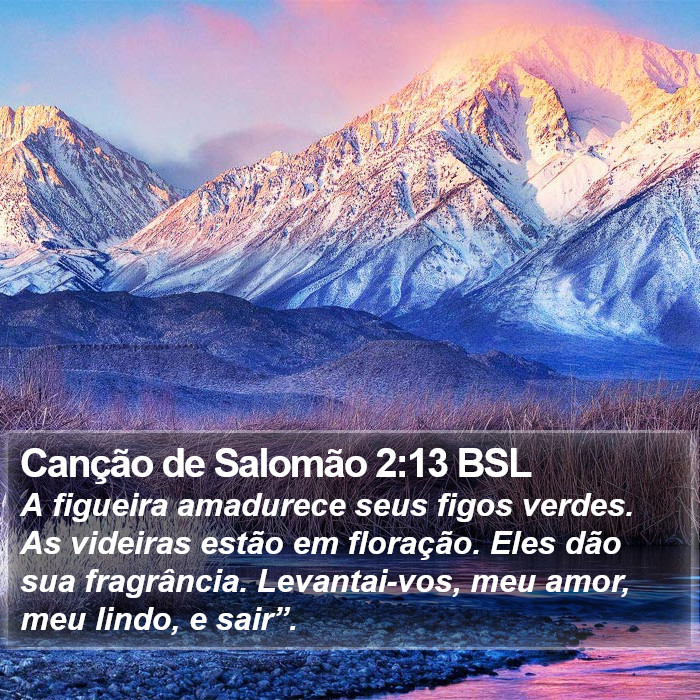 Canção de Salomão 2:13 BSL Bible Study