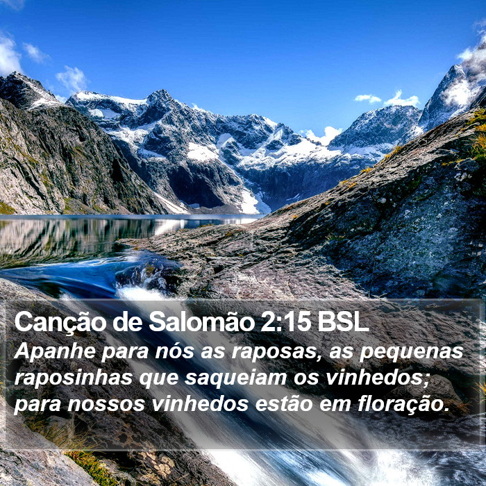 Canção de Salomão 2:15 BSL Bible Study