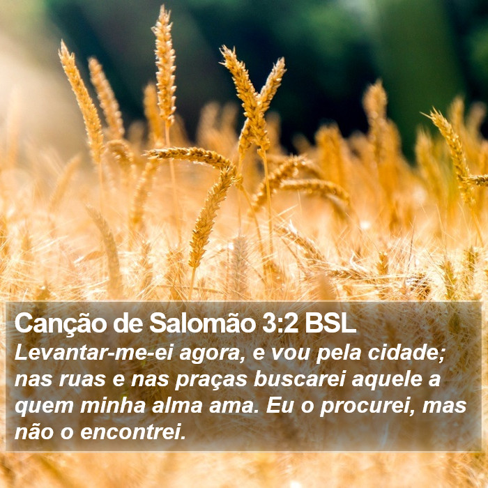 Canção de Salomão 3:2 BSL Bible Study