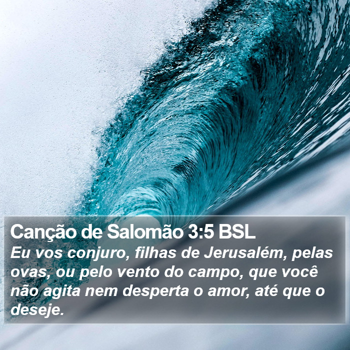 Canção de Salomão 3:5 BSL Bible Study