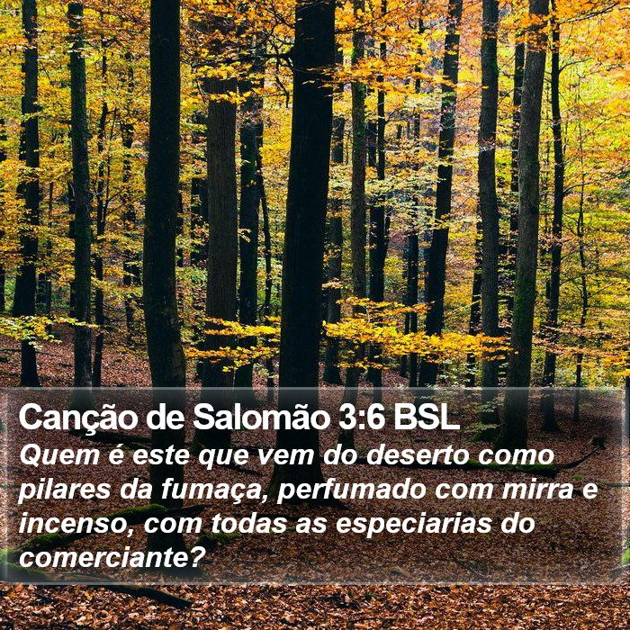 Canção de Salomão 3:6 BSL Bible Study