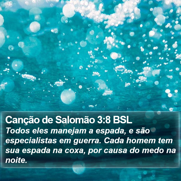 Canção de Salomão 3:8 BSL Bible Study