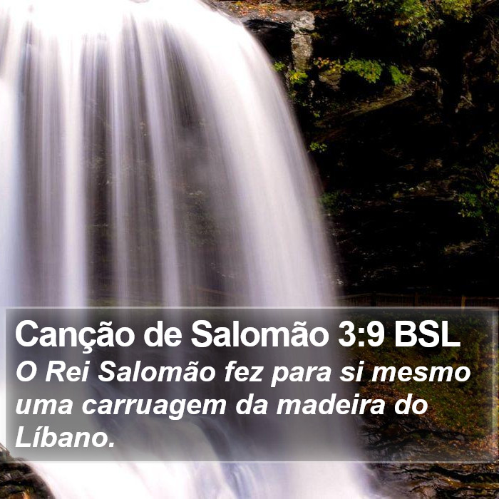 Canção de Salomão 3:9 BSL Bible Study