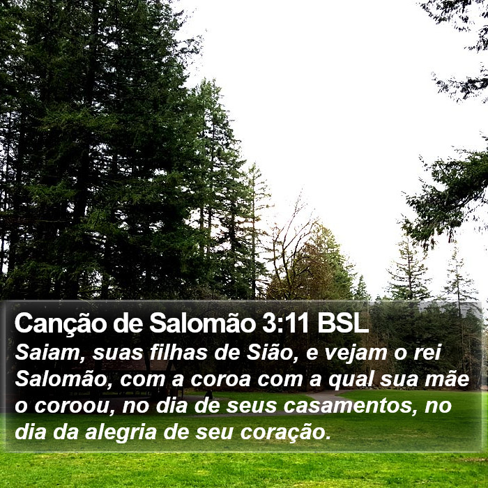 Canção de Salomão 3:11 BSL Bible Study