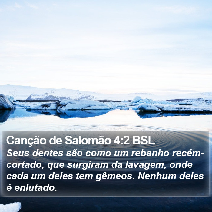 Canção de Salomão 4:2 BSL Bible Study
