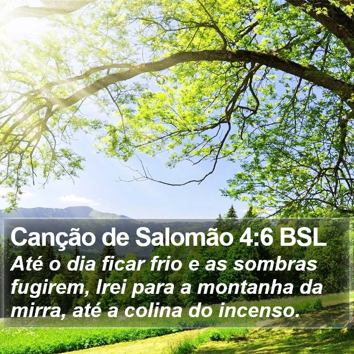 Canção de Salomão 4:6 BSL Bible Study