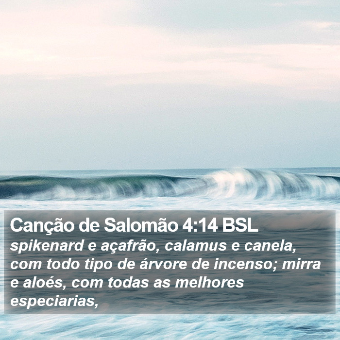 Canção de Salomão 4:14 BSL Bible Study