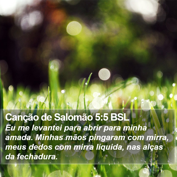Canção de Salomão 5:5 BSL Bible Study