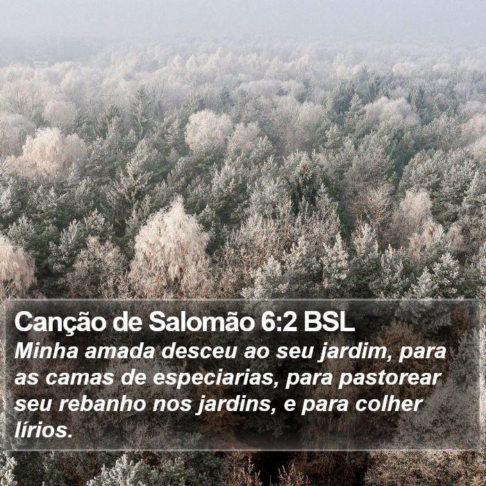 Canção de Salomão 6:2 BSL Bible Study