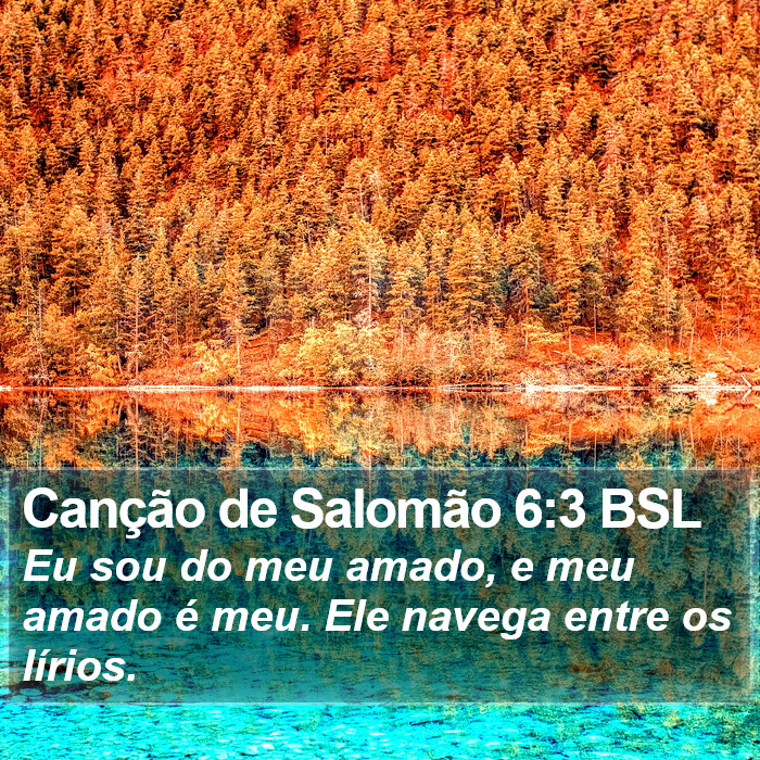 Canção de Salomão 6:3 BSL Bible Study