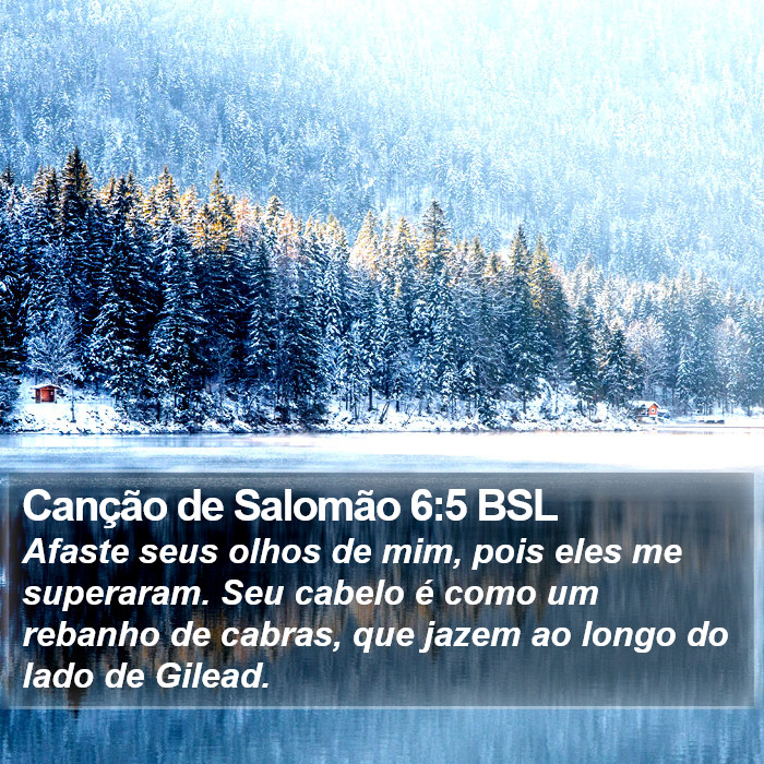 Canção de Salomão 6:5 BSL Bible Study
