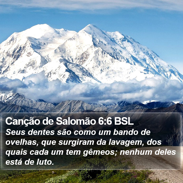 Canção de Salomão 6:6 BSL Bible Study