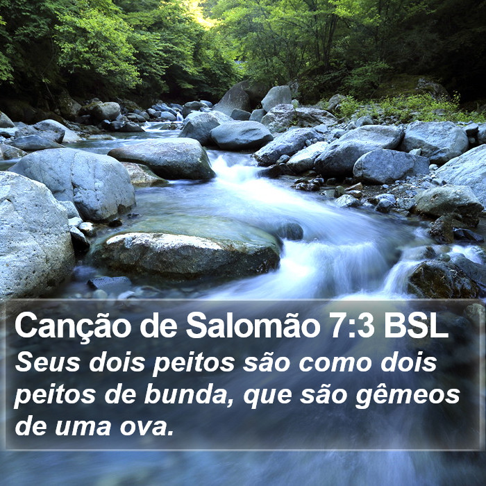 Canção de Salomão 7:3 BSL Bible Study