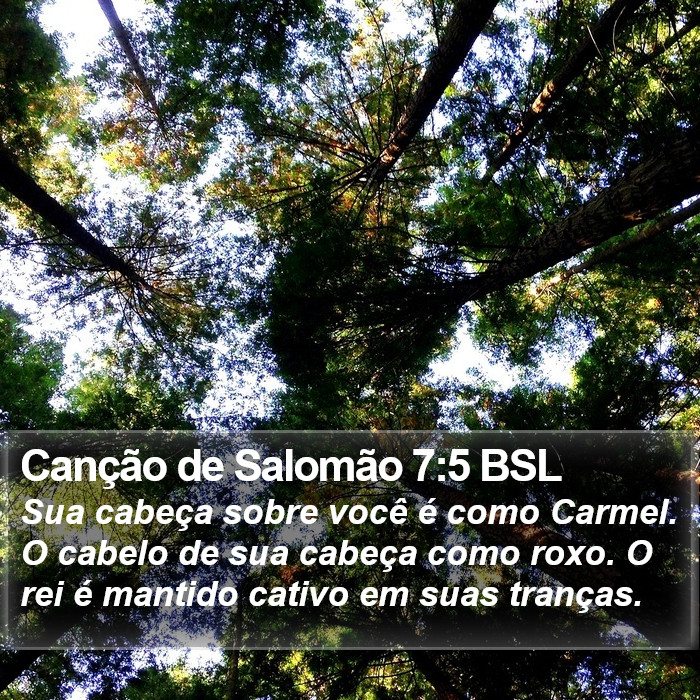 Canção de Salomão 7:5 BSL Bible Study