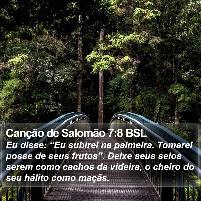 Canção de Salomão 7:8 BSL Bible Study