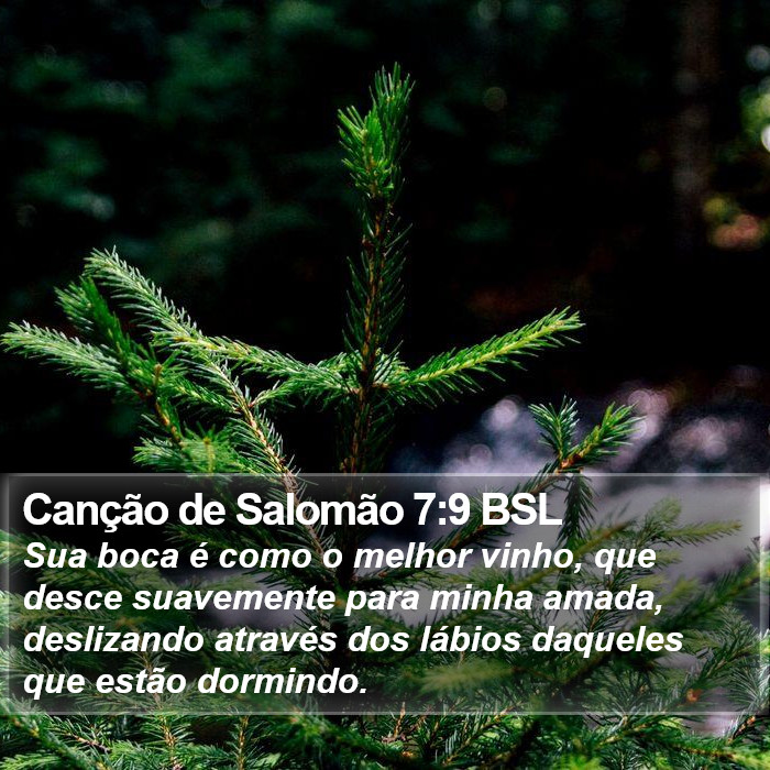 Canção de Salomão 7:9 BSL Bible Study