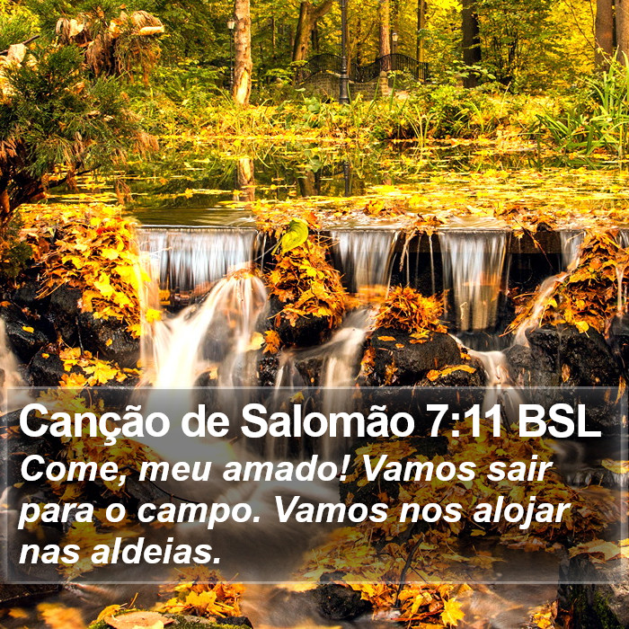 Canção de Salomão 7:11 BSL Bible Study