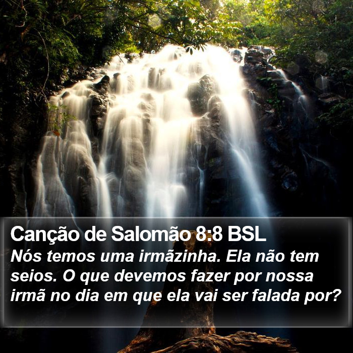 Canção de Salomão 8:8 BSL Bible Study