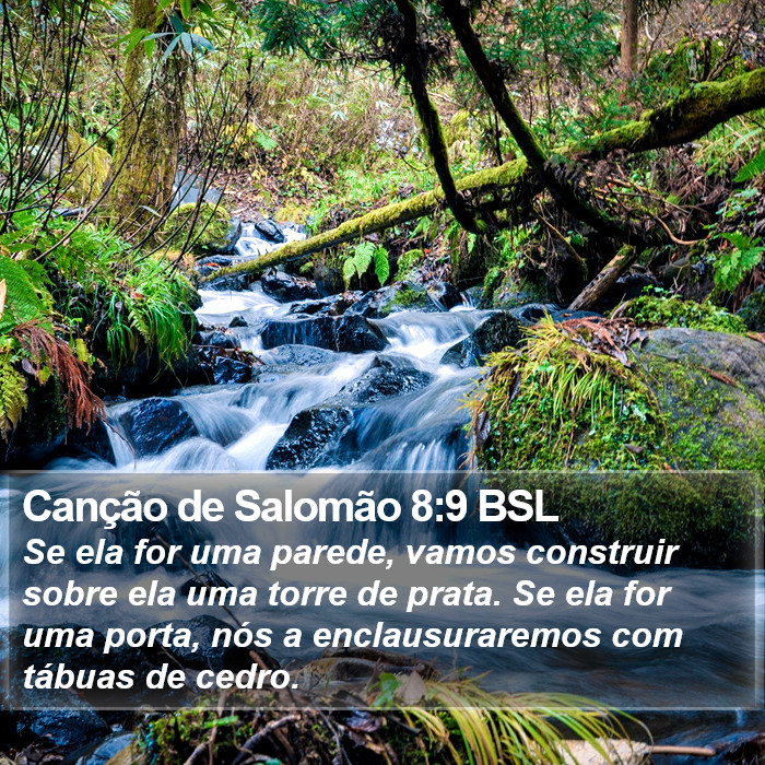 Canção de Salomão 8:9 BSL Bible Study