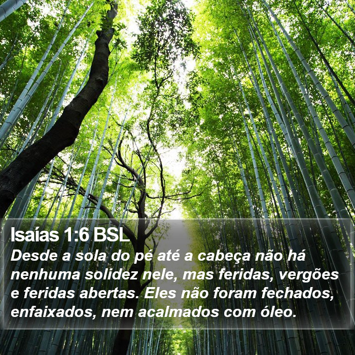 Isaías 1:6 BSL Bible Study