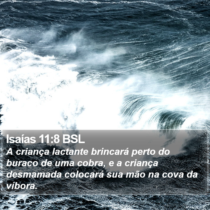 Isaías 11:8 BSL Bible Study