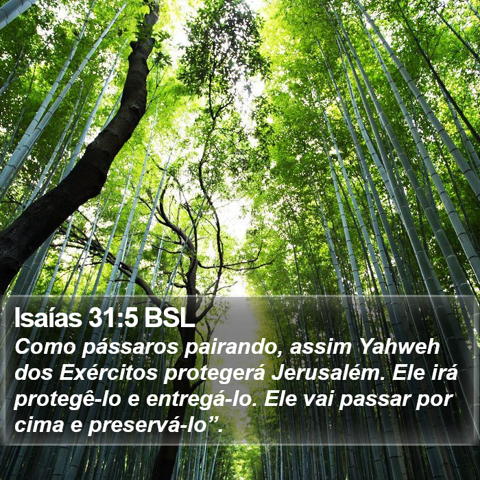 Isaías 31:5 BSL Bible Study