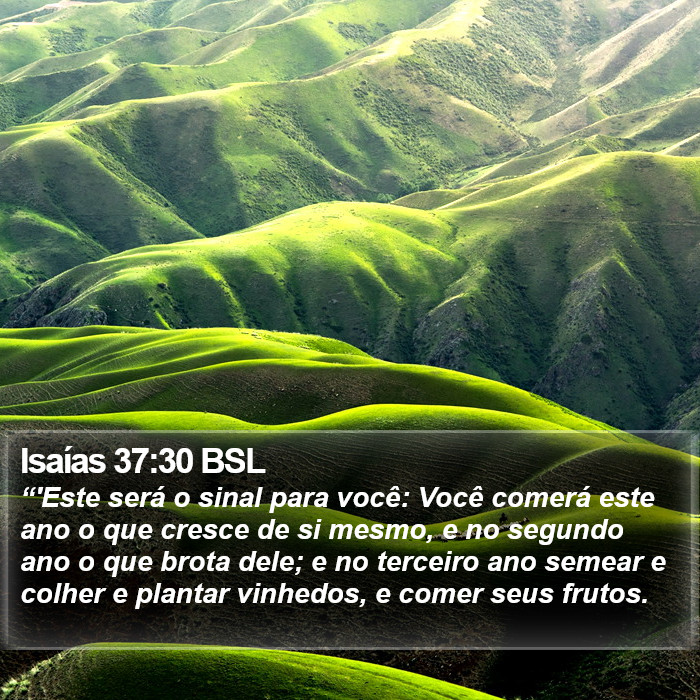 Isaías 37:30 BSL Bible Study