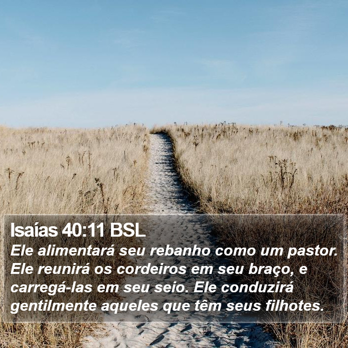 Isaías 40:11 BSL Bible Study