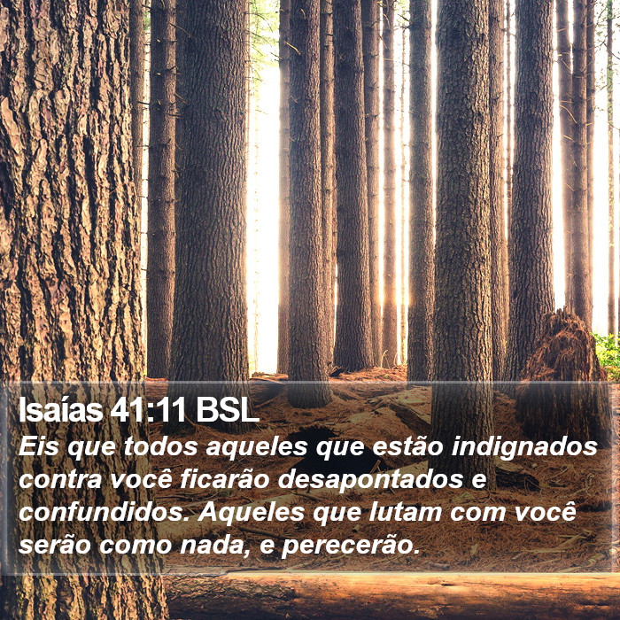 Isaías 41:11 BSL Bible Study