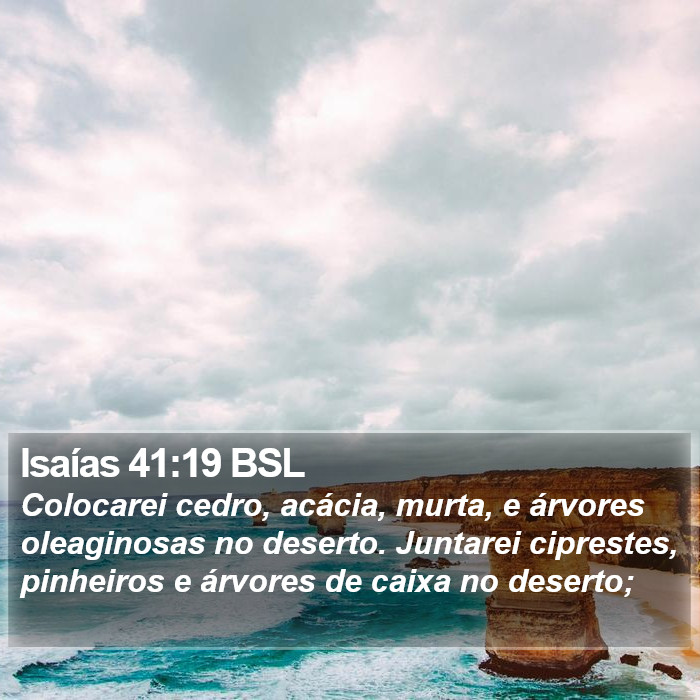 Isaías 41:19 BSL Bible Study