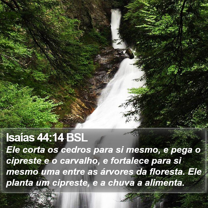 Isaías 44:14 BSL Bible Study