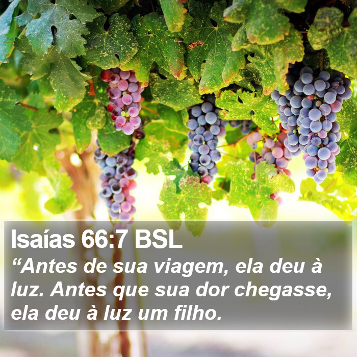 Isaías 66:7 BSL Bible Study