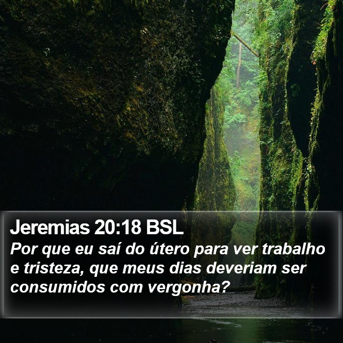 Jeremias 20:18 BSL Bible Study