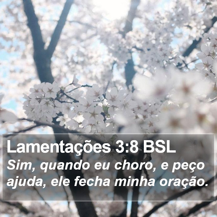 Lamentações 3:8 BSL Bible Study