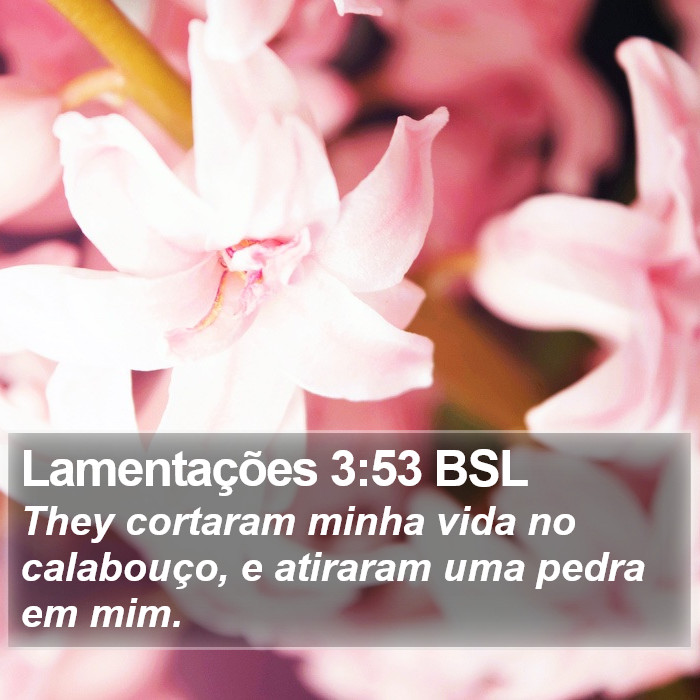 Lamentações 3:53 BSL Bible Study