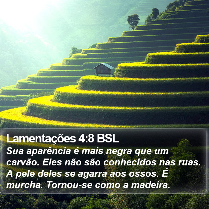 Lamentações 4:8 BSL Bible Study