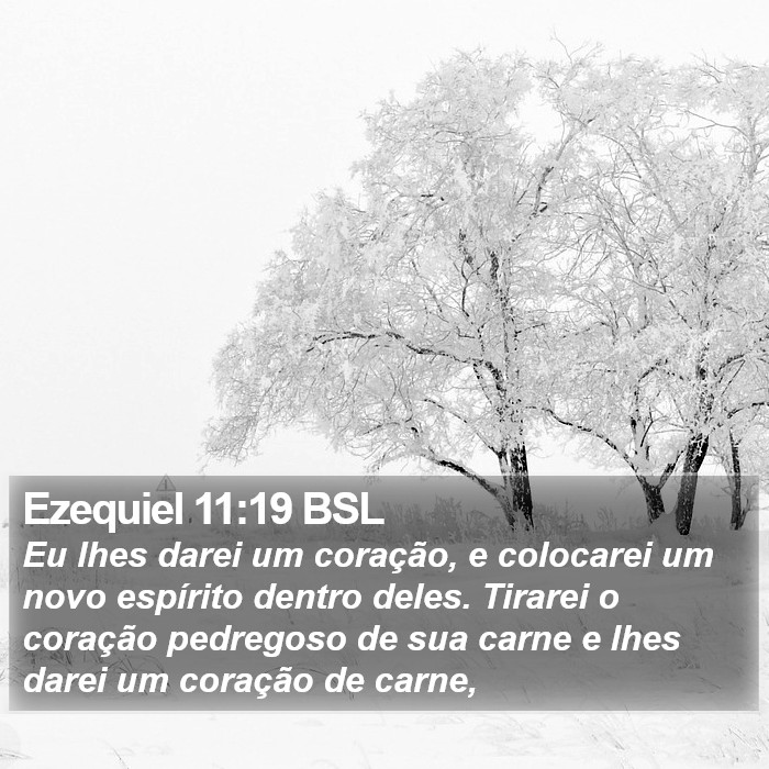 Ezequiel 11:19 BSL Bible Study