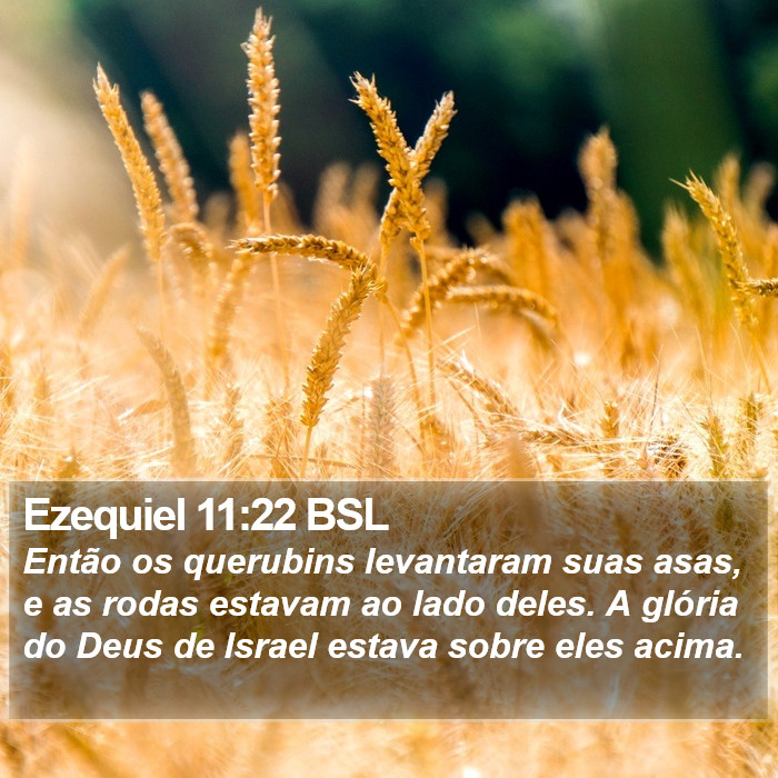 Ezequiel 11:22 BSL Bible Study