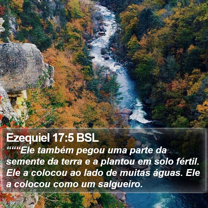 Ezequiel 17:5 BSL Bible Study
