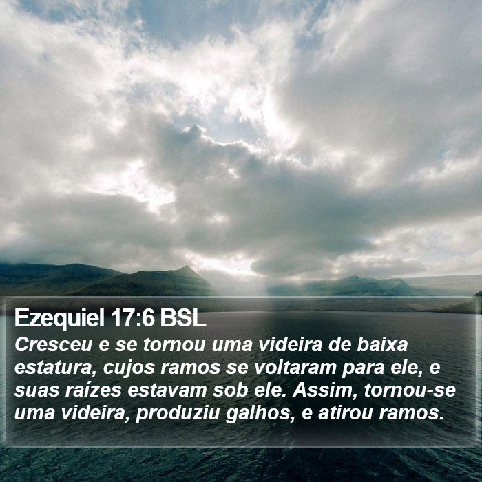 Ezequiel 17:6 BSL Bible Study