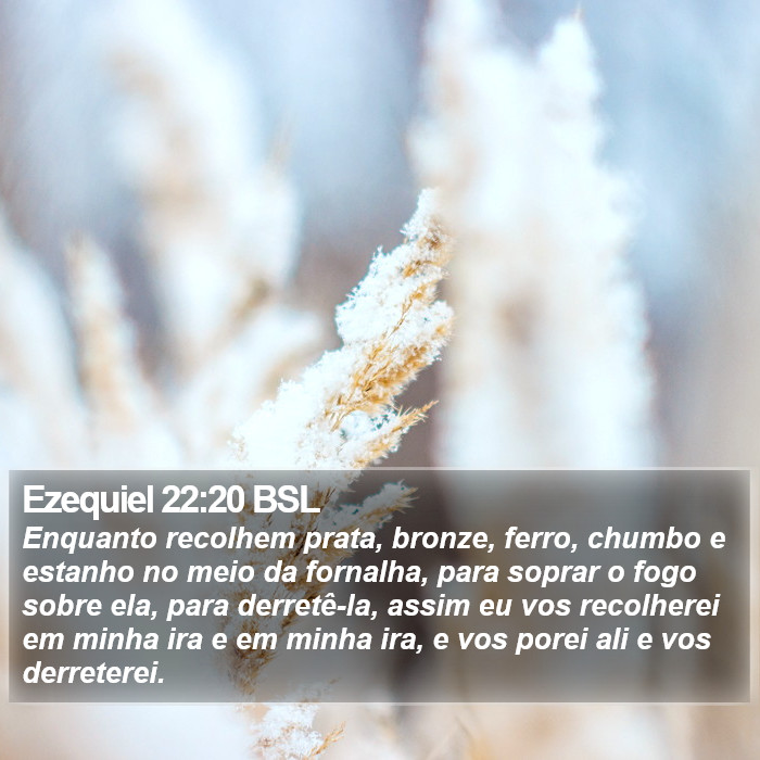 Ezequiel 22:20 BSL Bible Study