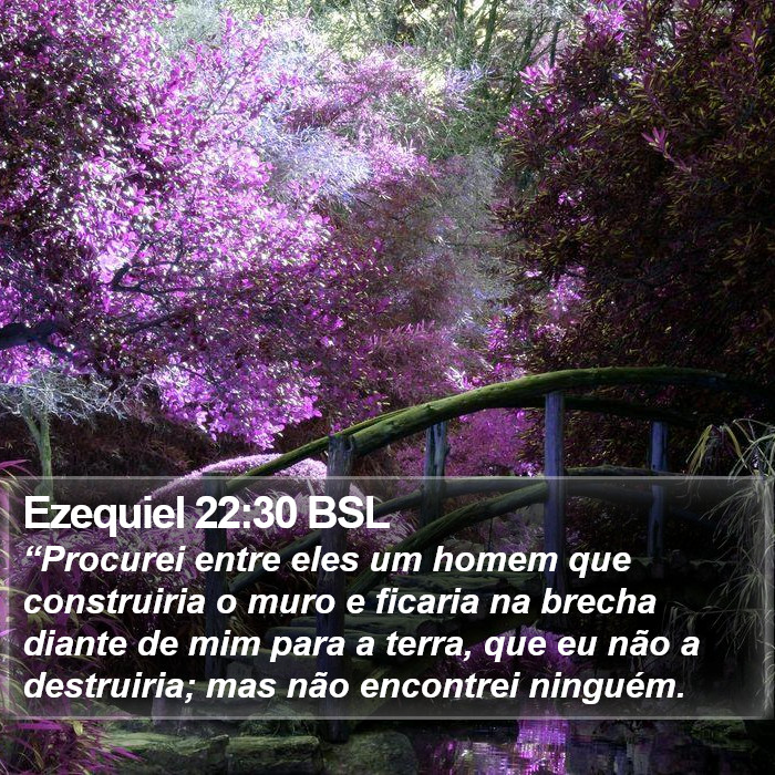 Ezequiel 22:30 BSL Bible Study