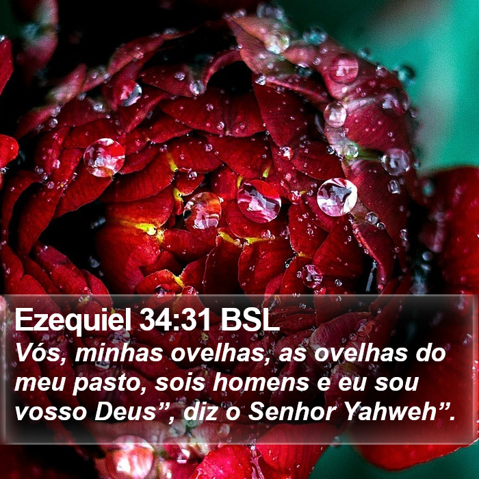 Ezequiel 34:31 BSL Bible Study